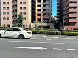 レジディア島津山 レジディア島津山のイメージ写真⑥