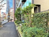 パークハビオ渋谷神山町 パークハビオ渋谷神山町8