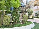 ザ・パークハビオ木場 ザ・パークハビオ木場15