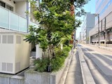 パークハビオ東陽町 パークハビオ東陽町9