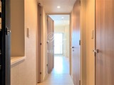 パークハビオ門前仲町 パークハビオ門前仲町81