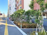 コンフォリア上野入谷 コンフォリア上野入谷7