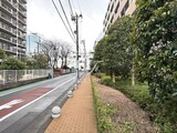 コンフォリア東品川 コンフォリア東品川のイメージ写真⑭