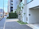 カスタリア中延 カスタリア中延17