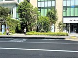 ウェンブリー表参道 ウェンブリー表参道7
