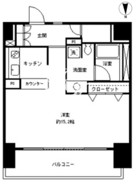 パークキューブ東品川 301 間取り図