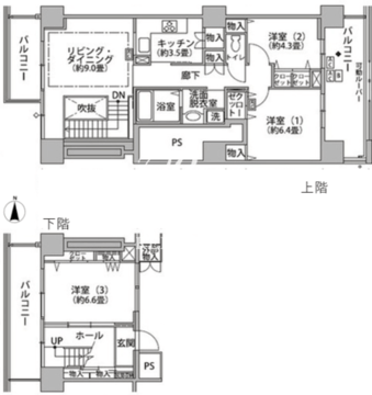 東雲キャナルコートCODAN 20-502 間取り図