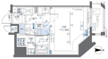 ズーム秋葉原 801 間取り図