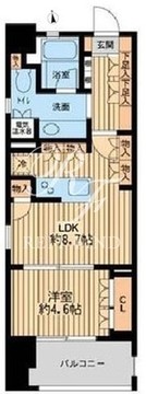 ニューシティアパートメンツ芝公園 801 間取り図