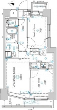 ラフィスタ墨田5丁目2 601 間取り図