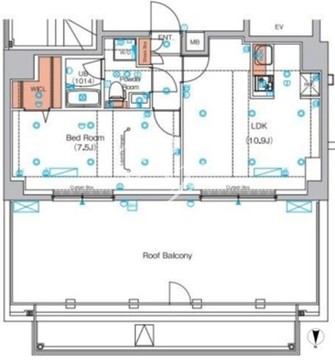 エストゥルース浅草 1001 間取り図