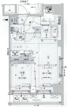 メインステージ浅草入谷2 207 間取り図