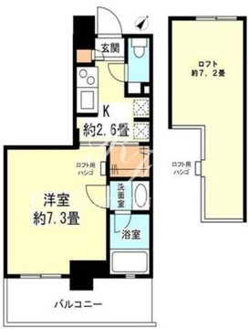 ステラメゾン学芸大学 501 間取り図