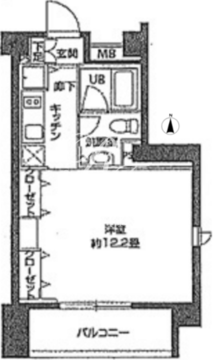 ニューシティアパートメンツ亀戸 315 間取り図