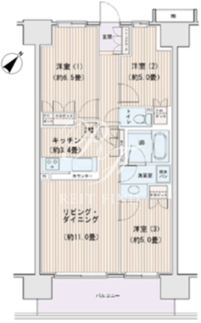エスティメゾン豊洲レジデンス C-1105 間取り図