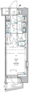 ディアレイシャス赤羽 301 間取り図