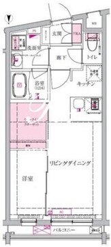 ベルシードステアー西早稲田 203 間取り図