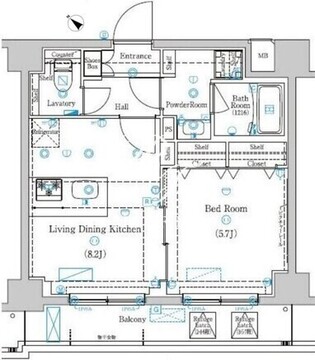 ラフィスタときわ台 205 間取り図
