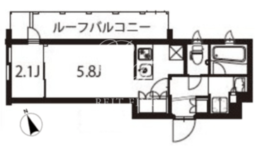 アジールコート東大井 507 間取り図