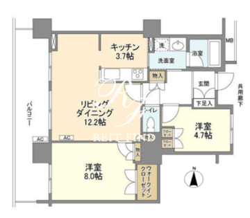 豊洲シエルタワー 2605 間取り図