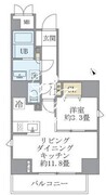 ラペルラ四谷 501 間取り図