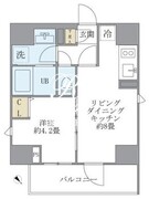 ラペルラ四谷 502 間取り図