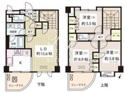ラピュータ 1207 間取り図