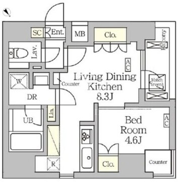 アジールコート松濤 1001 間取り図