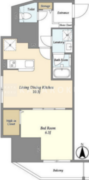 スコレサイト池袋 501 間取り図