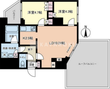 ヴィアーレ四谷 503 間取り図