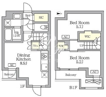 アジールコート三宿テラス 109 間取り図