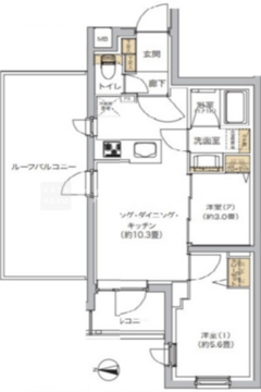リビオメゾン湯島 501 間取り図