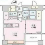 プライマル品川大井町 204 間取り図