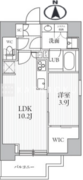 シーズンフラッツ滝野川 502 間取り図
