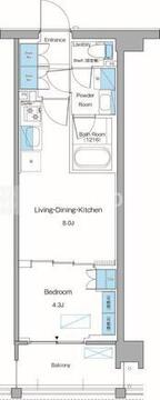 ルフォンプログレ高田馬場ノース 223 間取り図