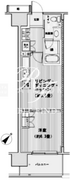 エスティメゾン豊洲レジデンス C-1006 間取り図