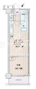 エスティメゾン豊洲レジデンス E-822 間取り図