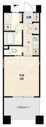 ドゥーエ板橋 801 間取り図
