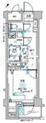 ディップス西新井 701 間取り図