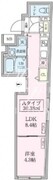 スカイコートリュクス品川大崎 101 間取り図