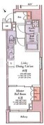 HAYANO Residence 大塚 301 間取り図
