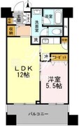 カスタリア荒川 204 間取り図