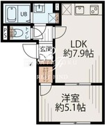 シエルステラ池袋 501 間取り図