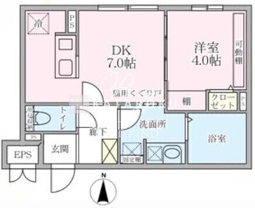 ラヴィエール大島＆ｍｅｗ 303 間取り図