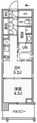 シーズンフラッツ菊川ノース 505 間取り図