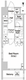コンフォリア門前仲町 1006 間取り図