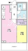 ステラメゾン目黒本町 302 間取り図