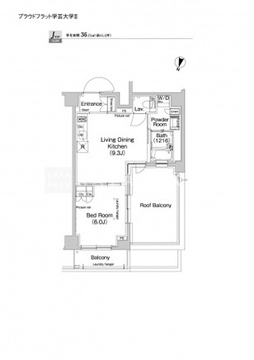 プラウドフラット学芸大学2 505 間取り図
