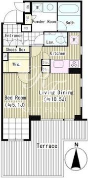 エル・セレーノ南麻布 101 間取り図