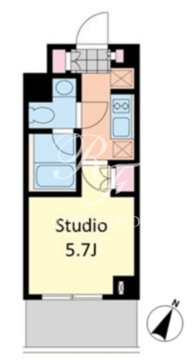 エスティメゾン千石 216 間取り図